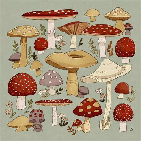 Aesthetic Drawings. . Mushroom aesthetic drawing